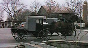 Pennsylvania Dutch Horse and Carriage