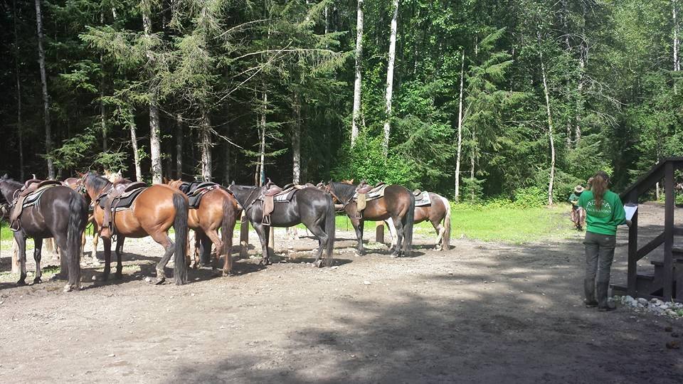 Horse Trail Camp