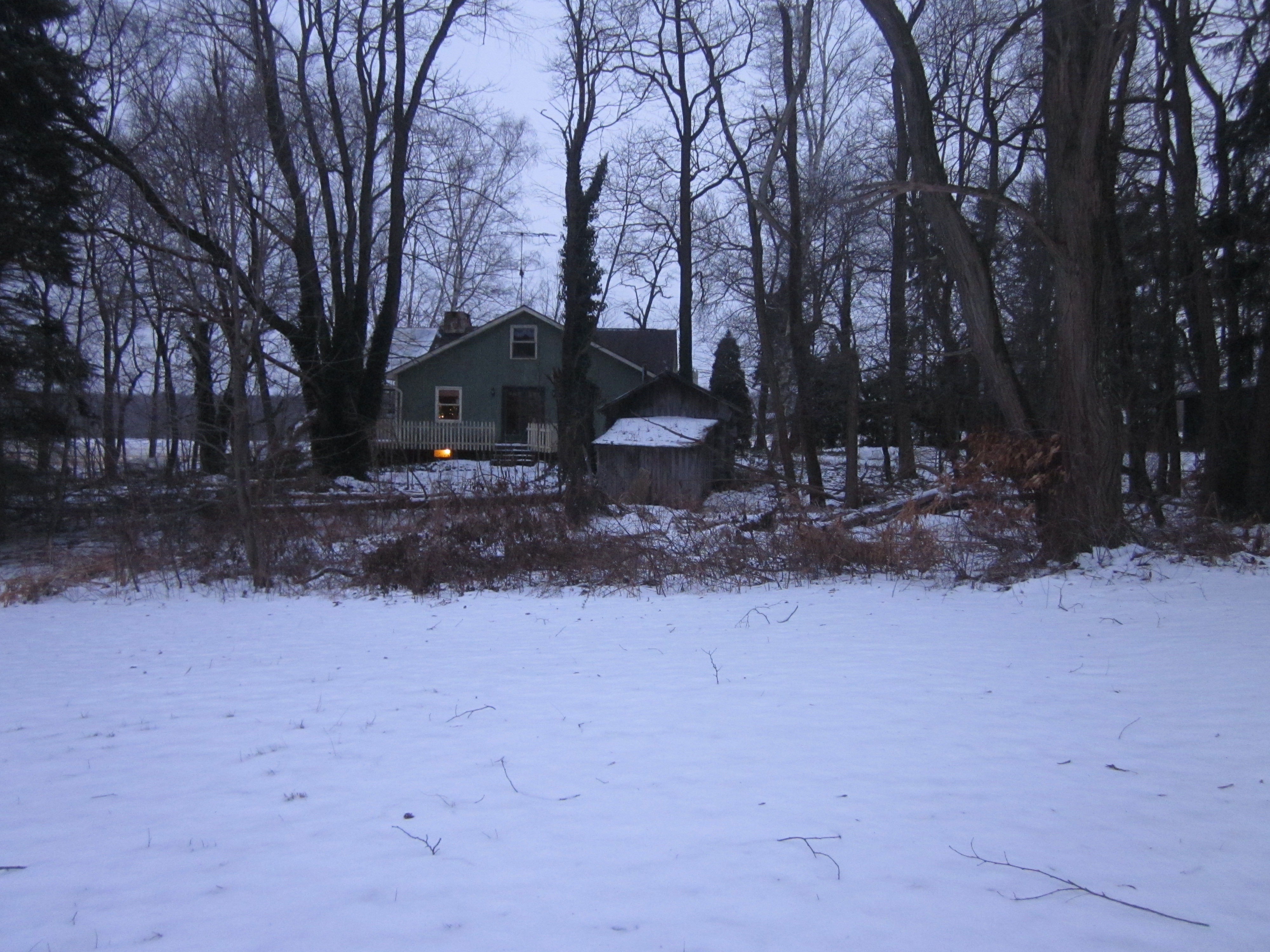 House in the woods in winter