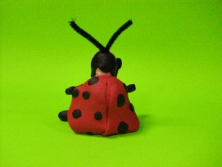 Clay ladybug back