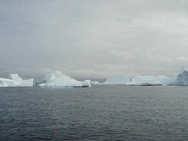 icebergs.jpg