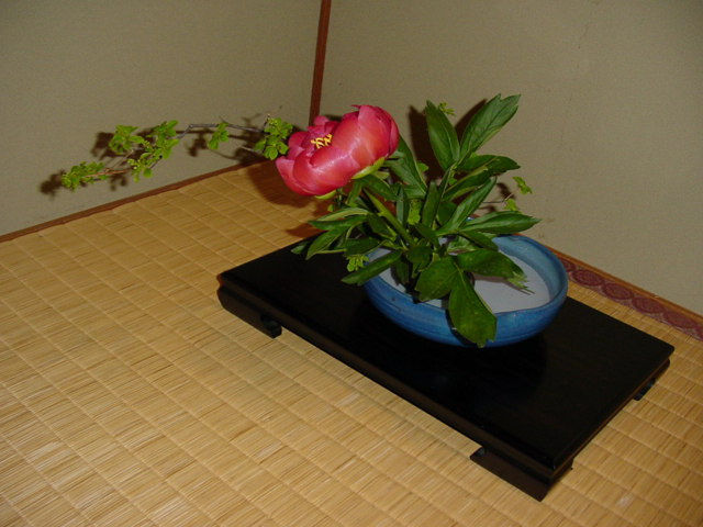 Ikebana - japanese flower arrangement