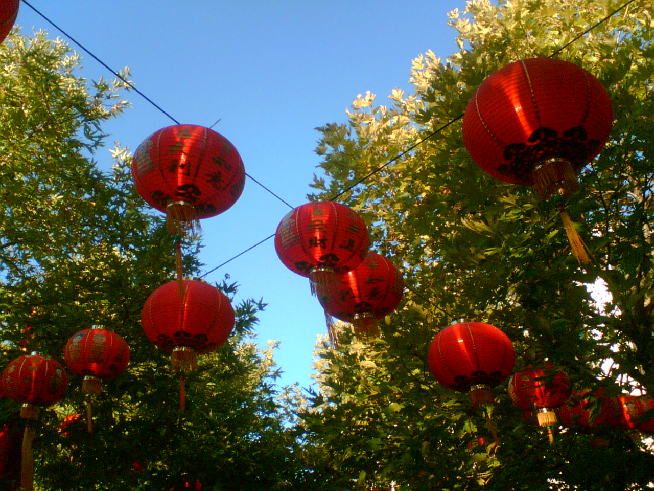 Chinese Lanterns