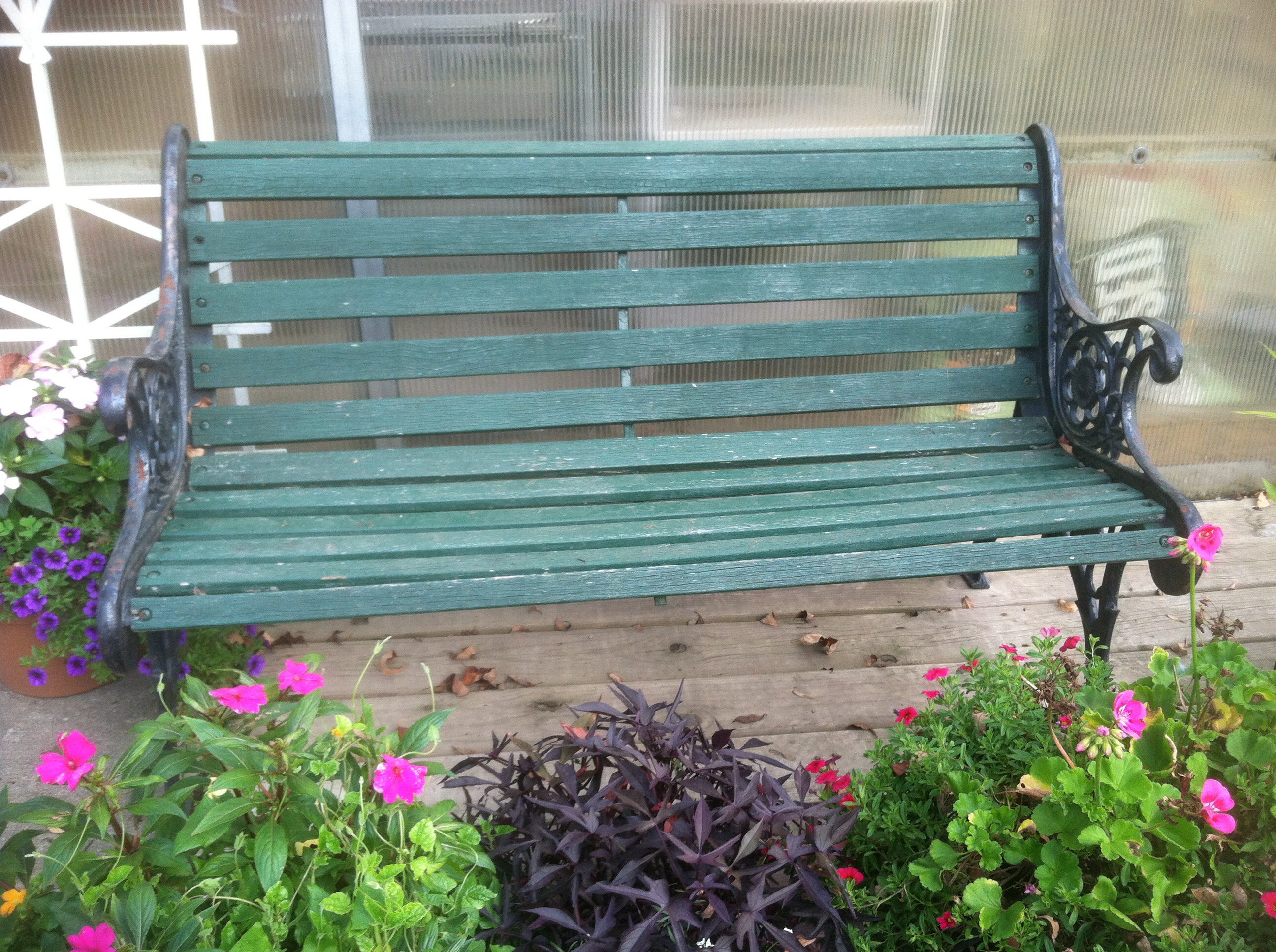 Empty green bench