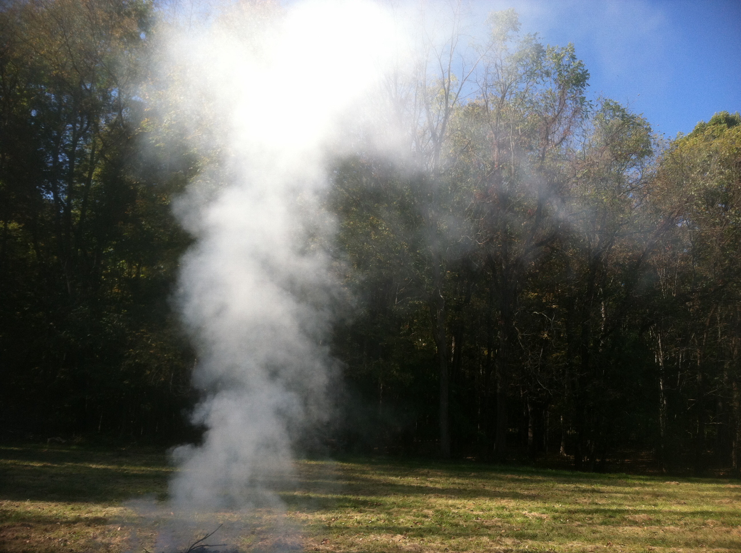 Smoke in field near woods