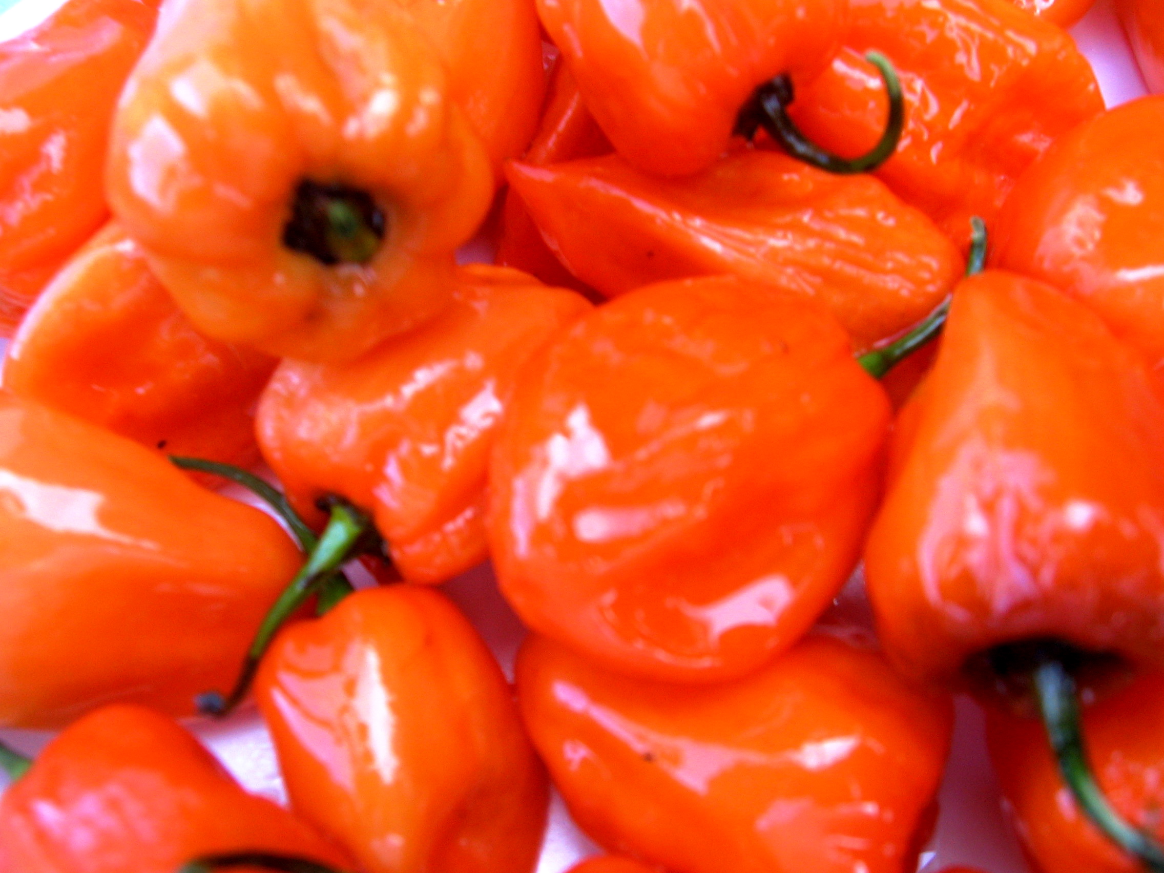 Poland soccer jerseys 24-25