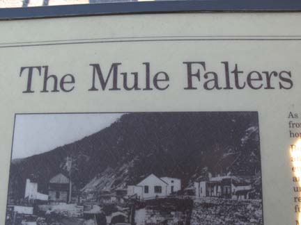 The Mule Falters