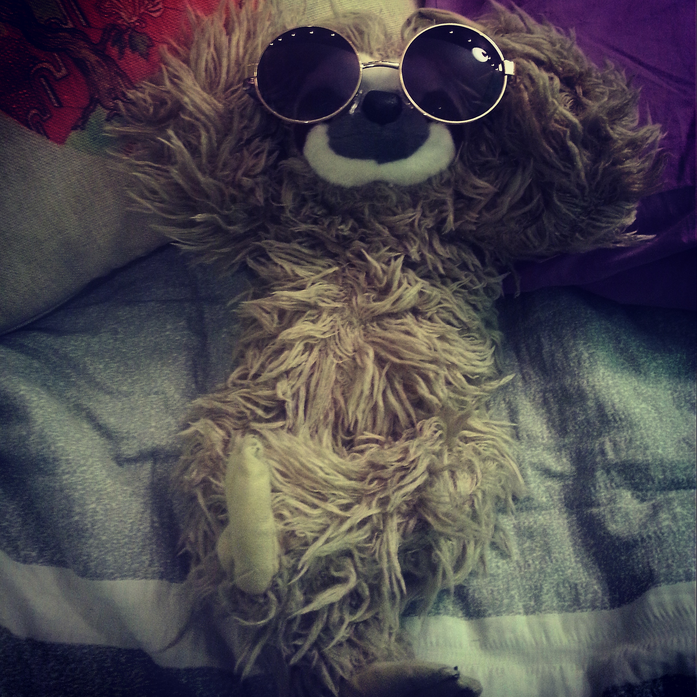 Hippie Sloth