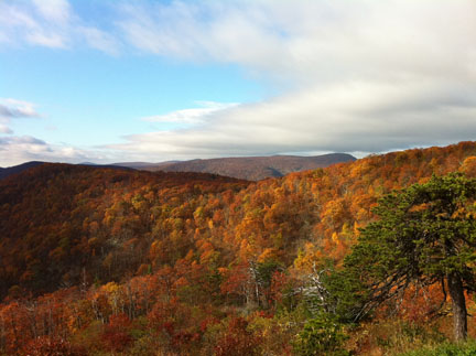 Autumn at Skyline Drive