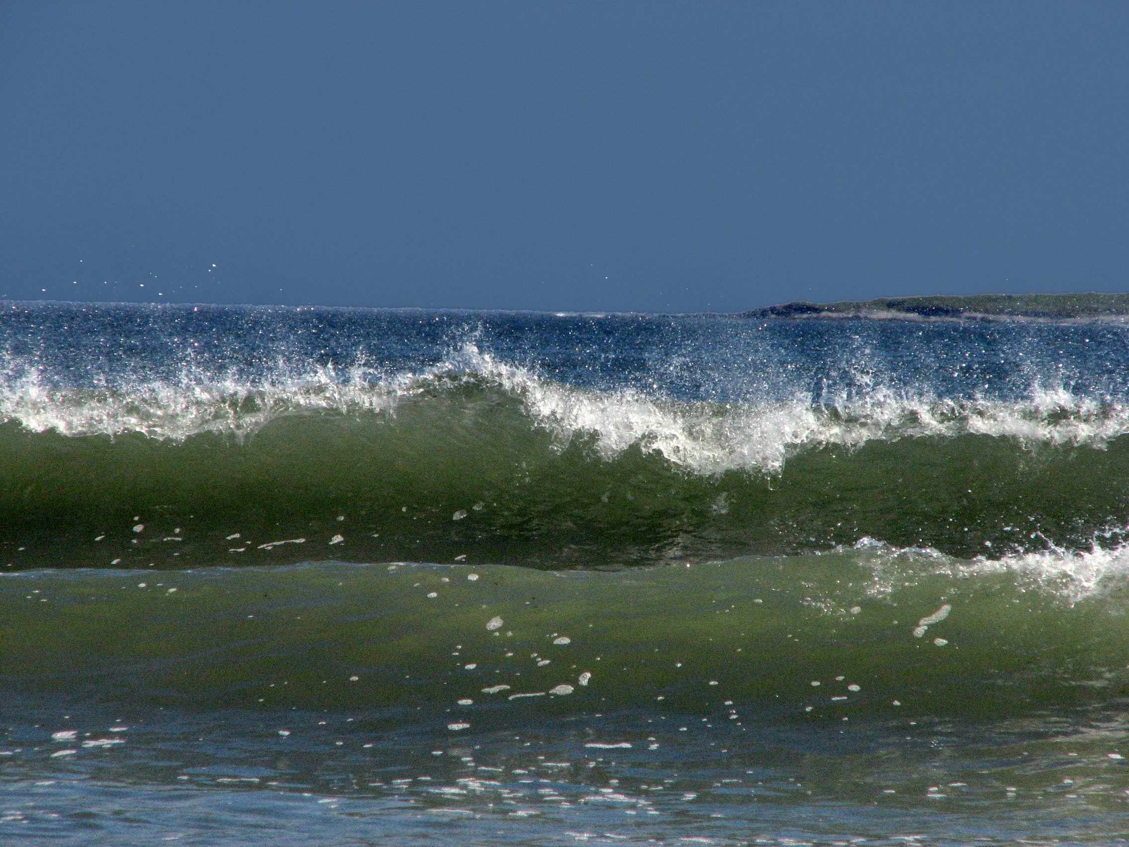 img_2586a.jpg