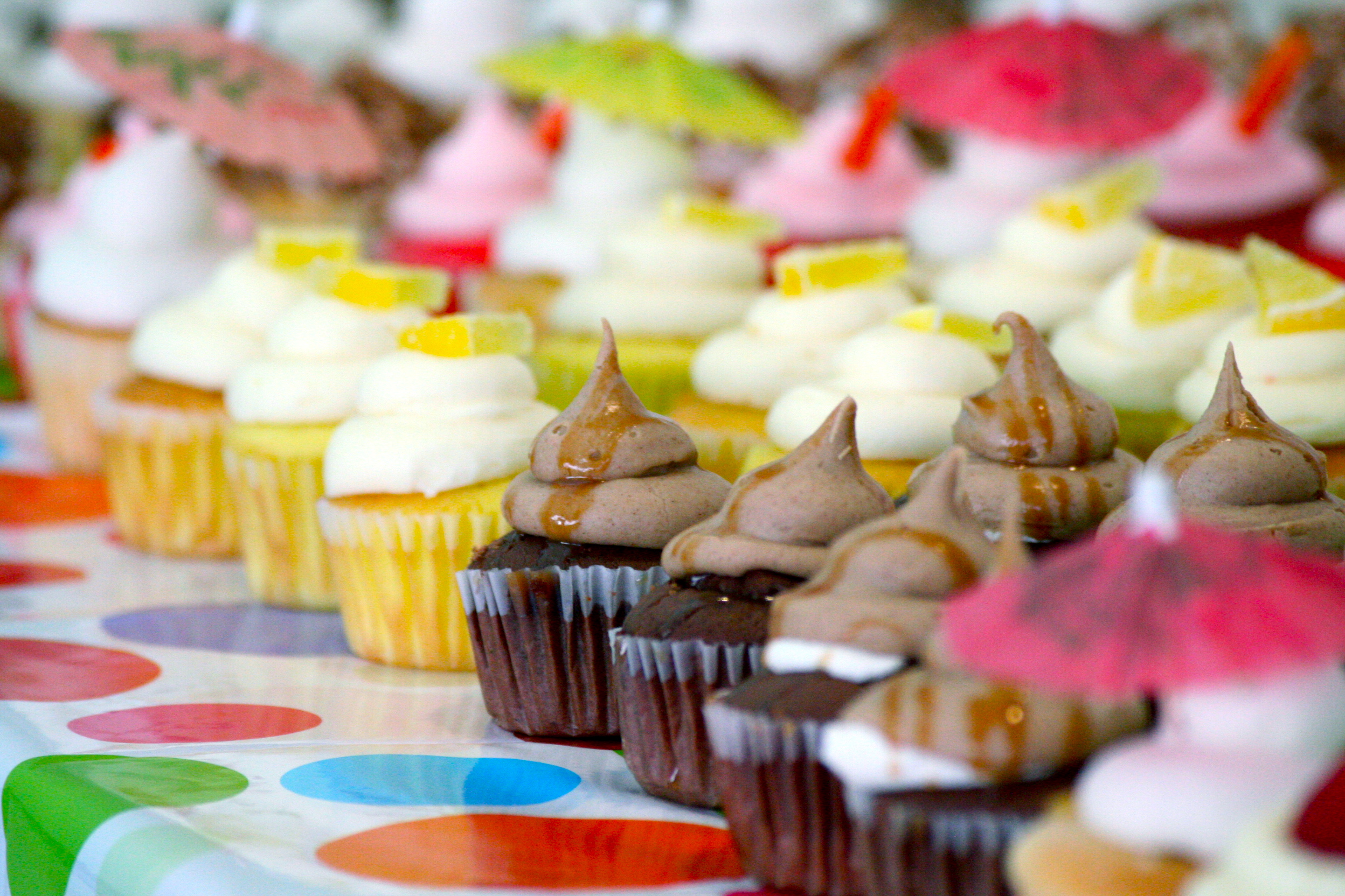 Gourmet cupcakes at the MIT Media Lab