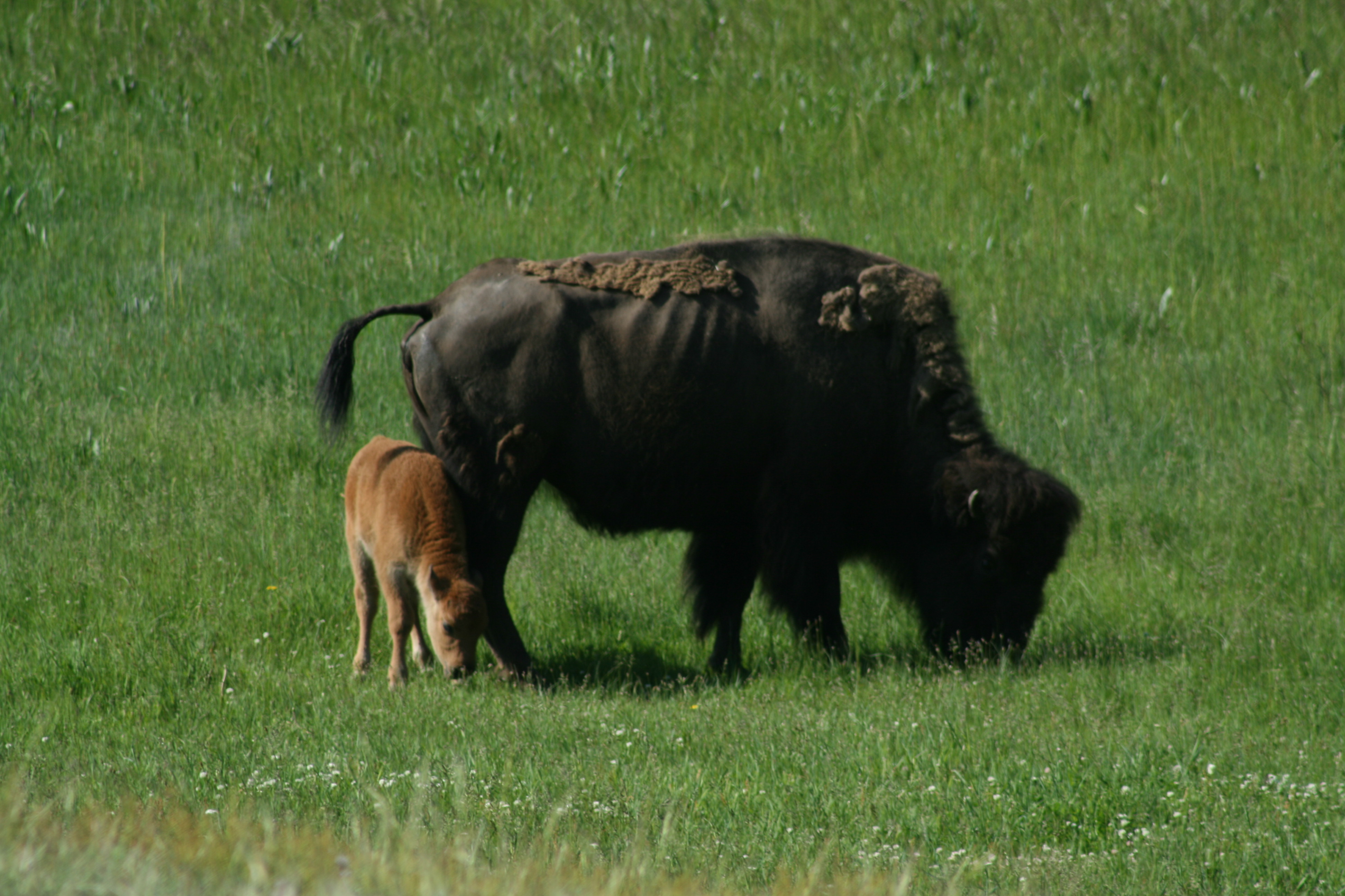 Mother and baby