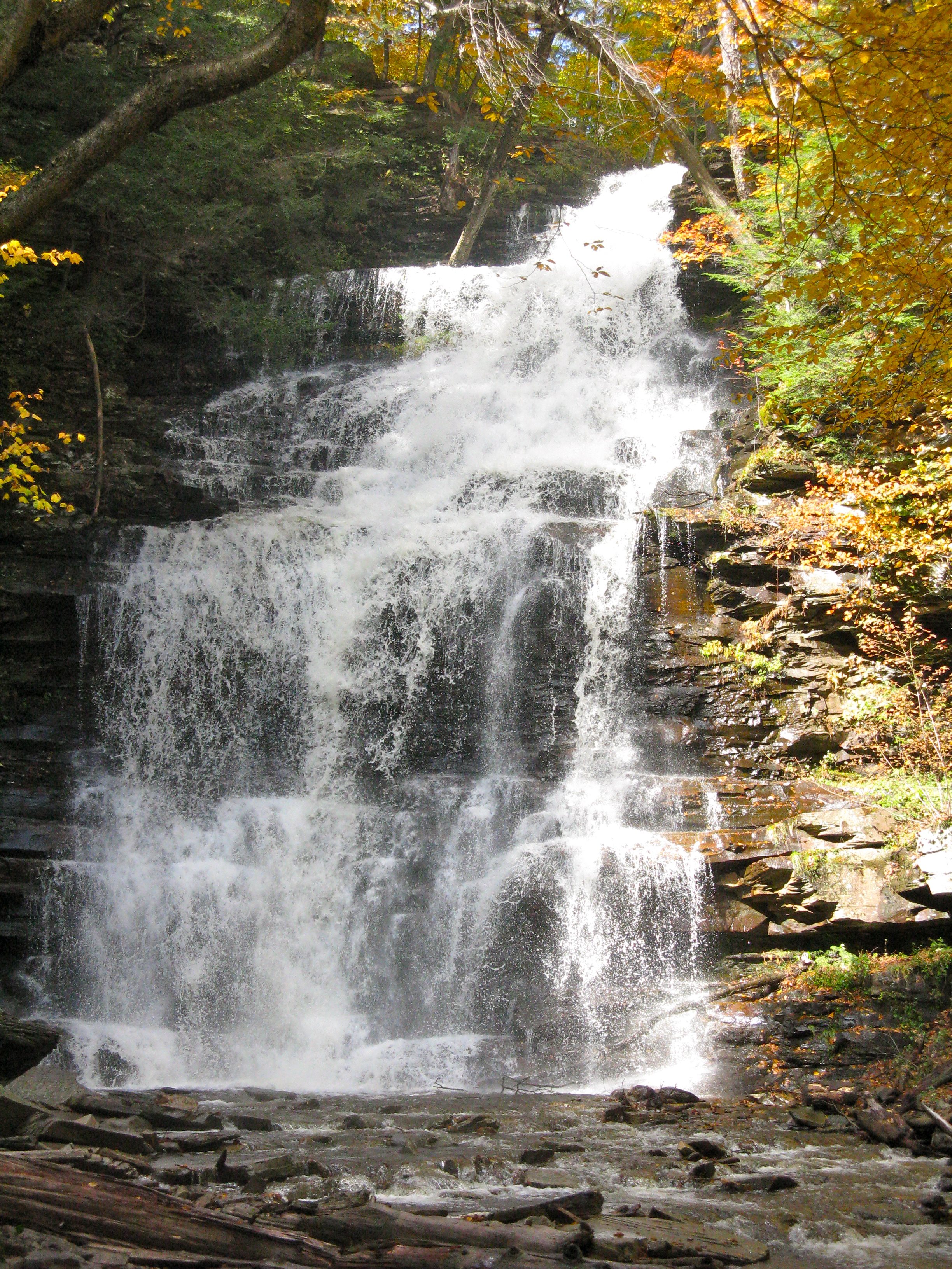 external image img_8421.jpg