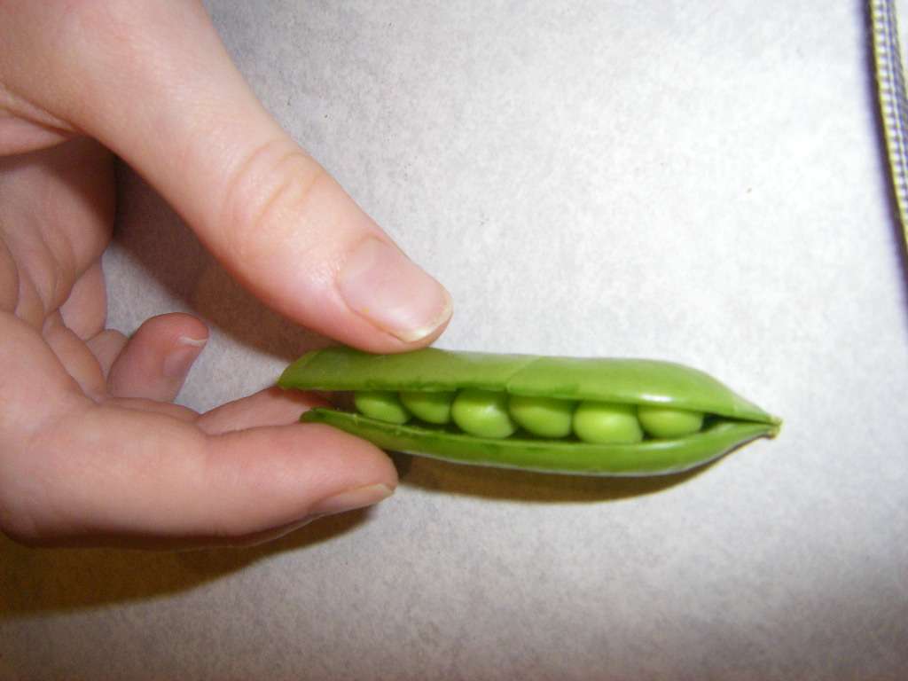 A Pea Pod is like a populated canoe.