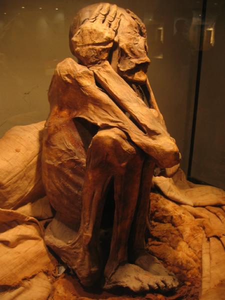 Incan Mummy