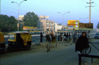 Street scene in Dehli India