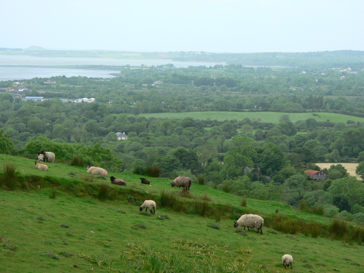 irishcountryside.jpg