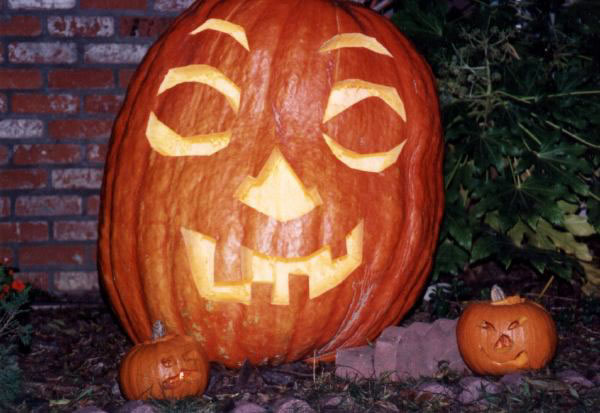 Jack-o-lantern carved out of a giant pumpkin