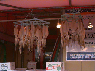 Squid for sale in Japan