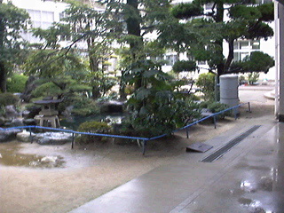 Japanses school corner view of courtyard and pond. School is laid out in a large open rectangle with pond and pine trees in center. Classrooms are on two long sides and the two short sides contain the gynasium on one and the kitechen, etc. on the other. All schools, elementary, junior high and high school are basically the same though there is great varienty in the architectural style, materials used, etc. depending on the time period and geographical locale.