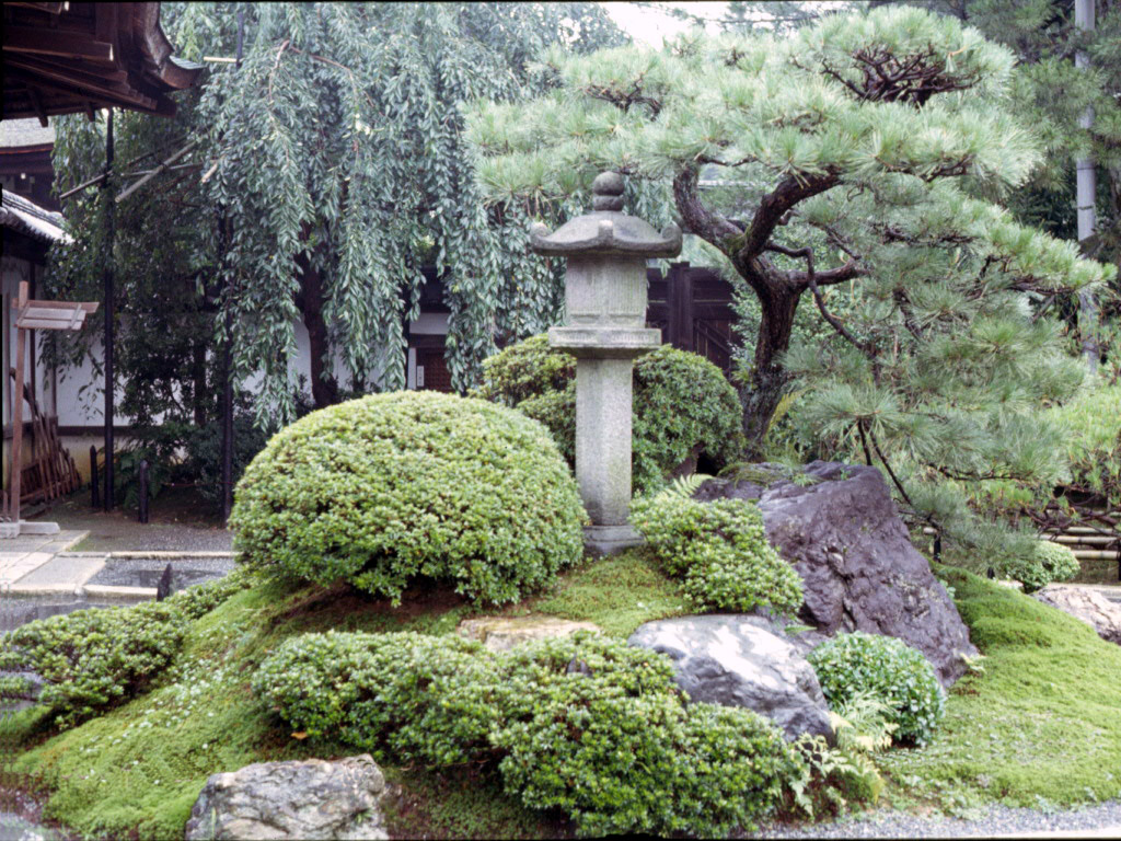 Japanese Garden 2