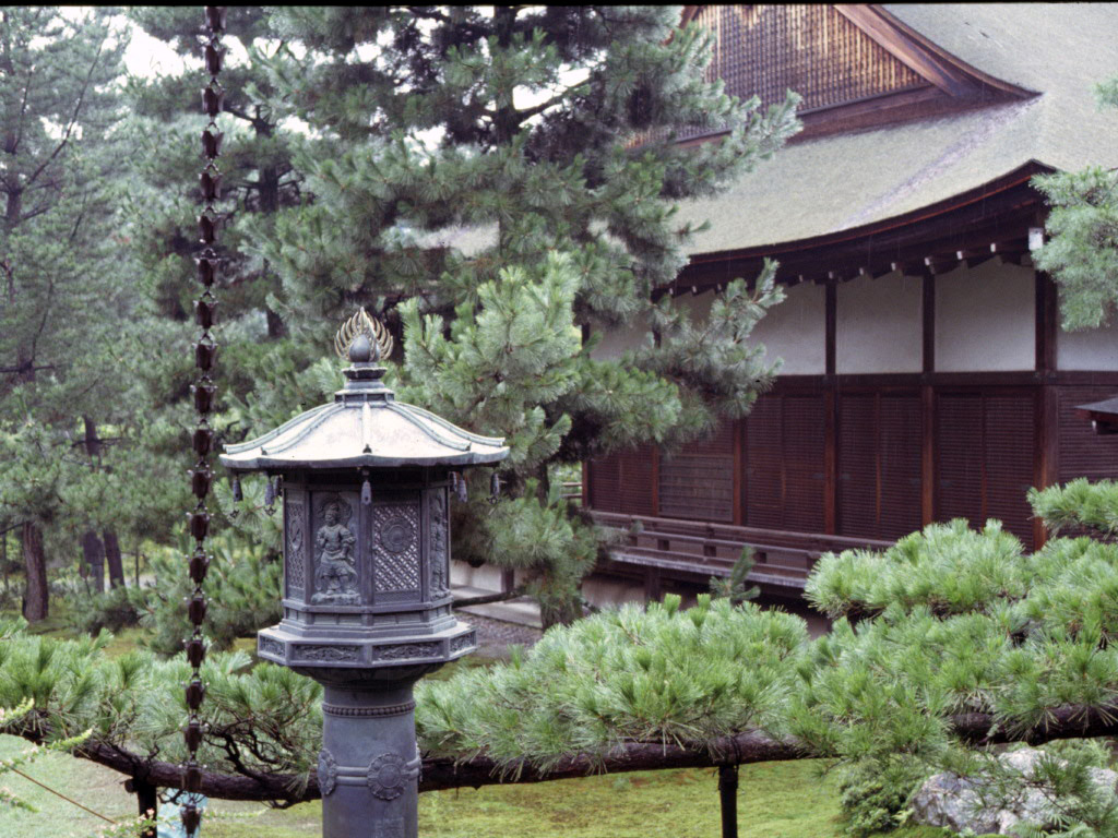 Japanese garden 3