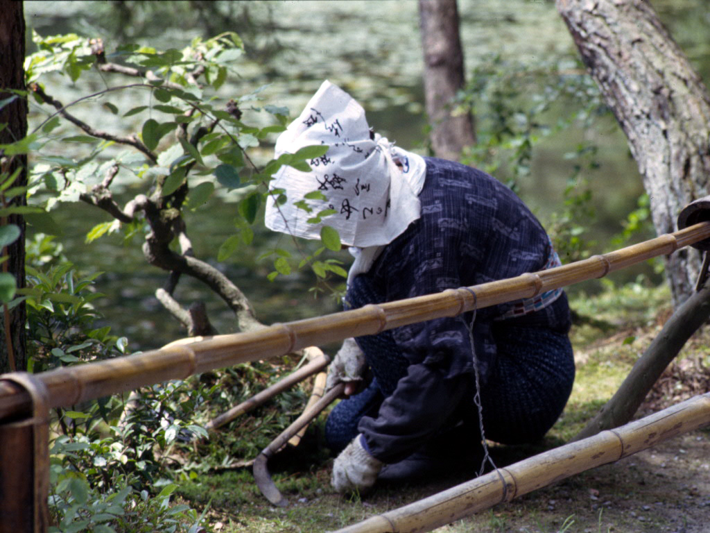 Japanese gardener