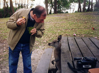 Kangaroo and friend in park