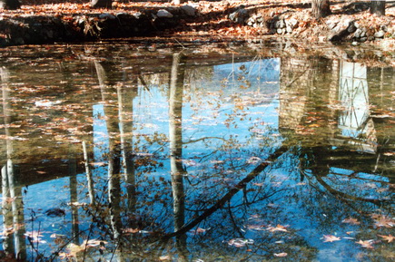 Reflecting pond