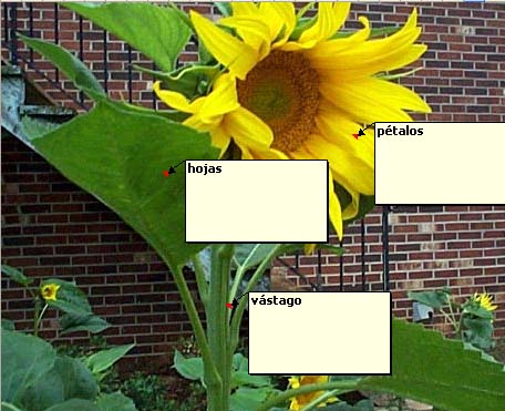 Excel labeling activity