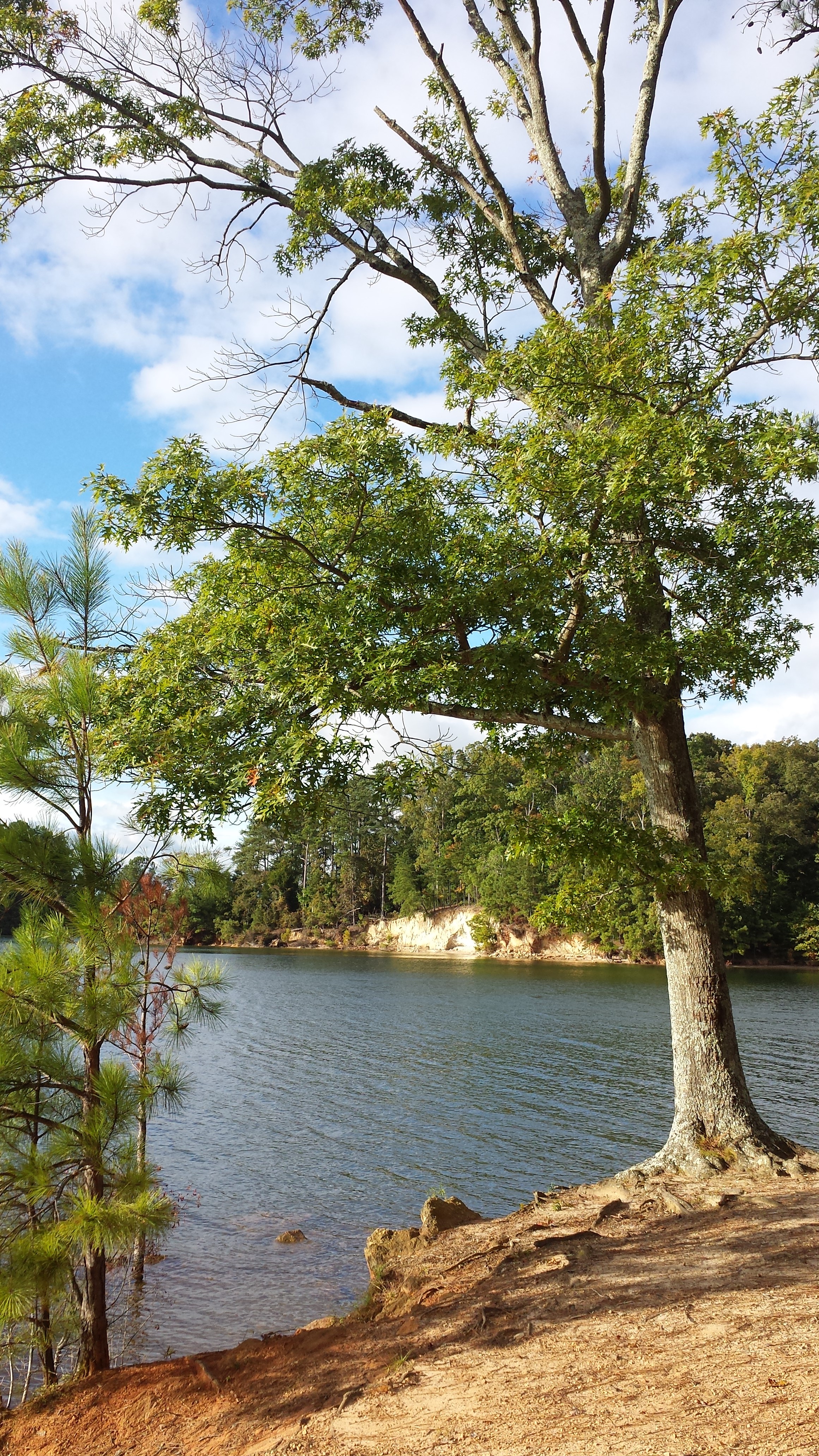 Lake Lanier, Van Pugh Park