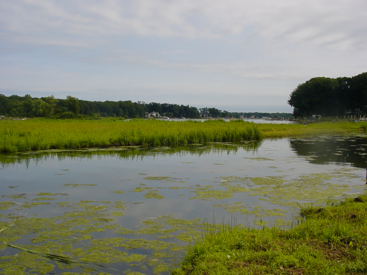 Lake Macatawa