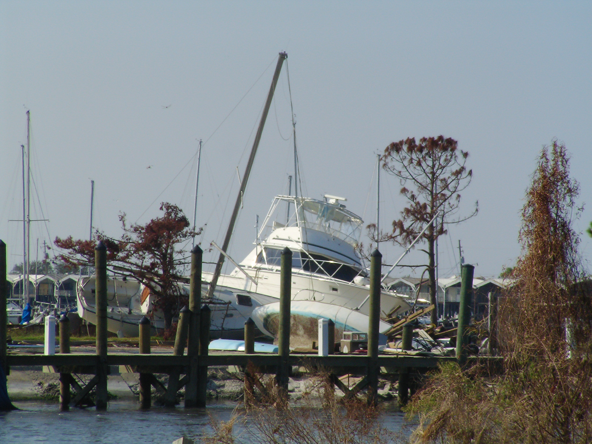 lakepontchartrainmarina.jpg