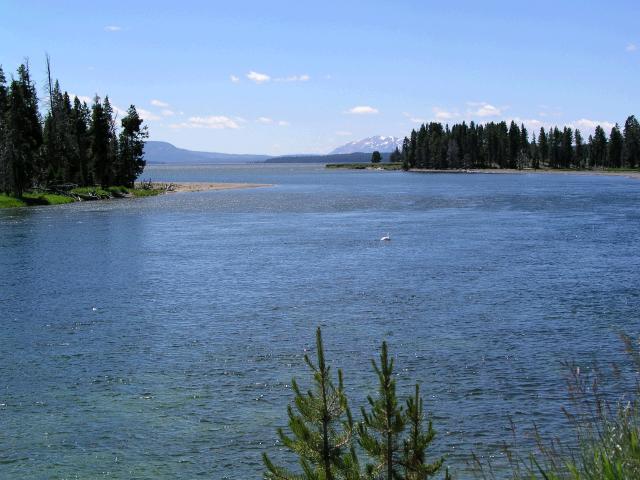 Looking out on Lake Yellowstone