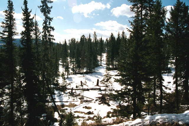 Big Sky terrain