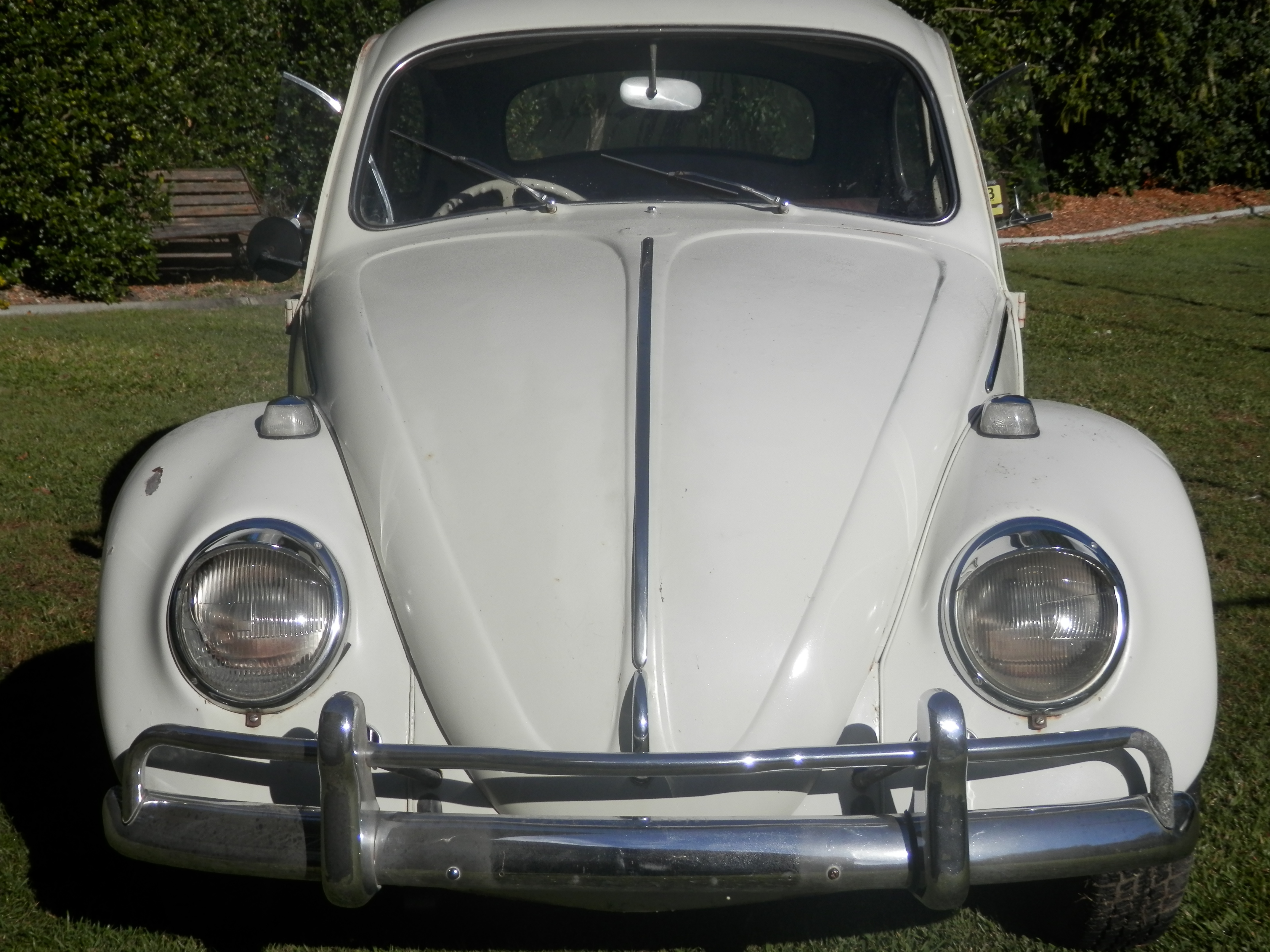Volkswagon beetle 1966