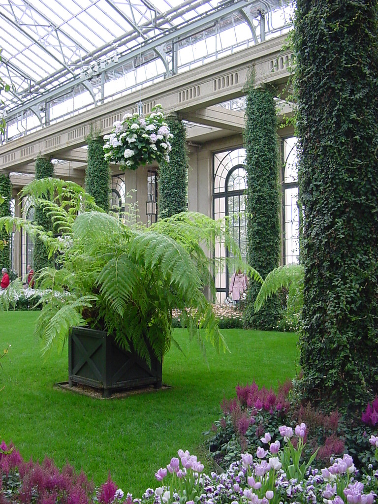 Conservatory Flowers at Longwood Gardens