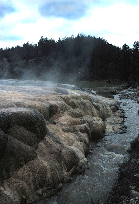 sediment deposits from mineral laded water slowly build at Mammoth springs