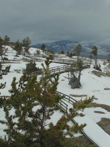 Boardwalk at Mammoth Hot Springs