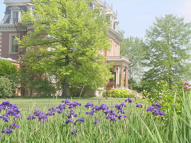 mansion_with_irises.jpg