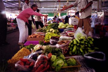 Fruit and Veggies at the Market