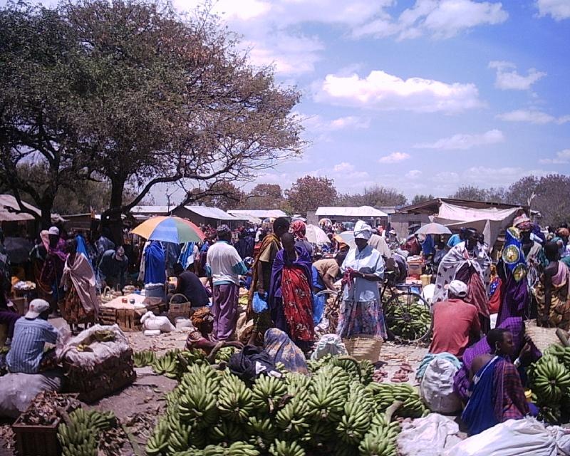 Masai Market