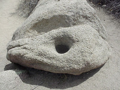 Mesquite grinding stone used by Cahuila