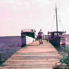 Dock with boats in Mexico