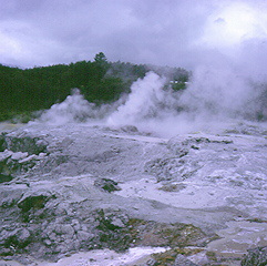 Maillot de foot paris