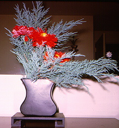 Manchester United vs