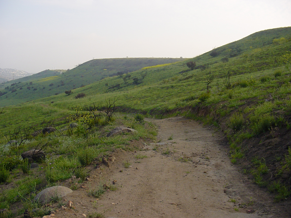 Mission Trails Regional Park