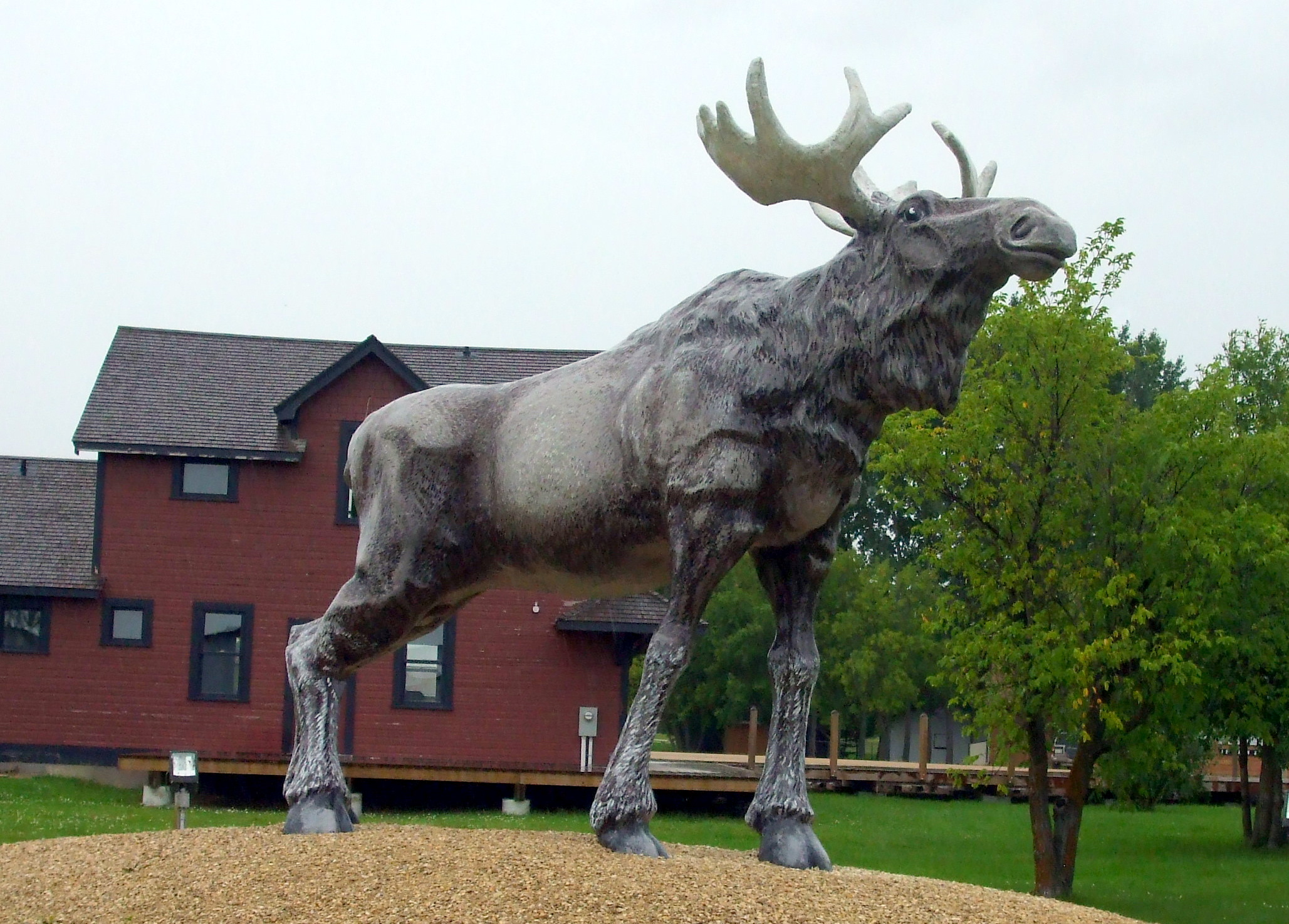 moosestatueinriverton52997.jpg