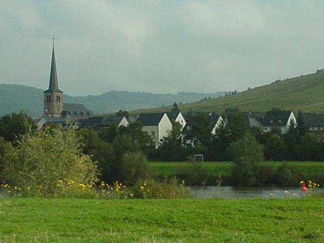 Mosel River Scene