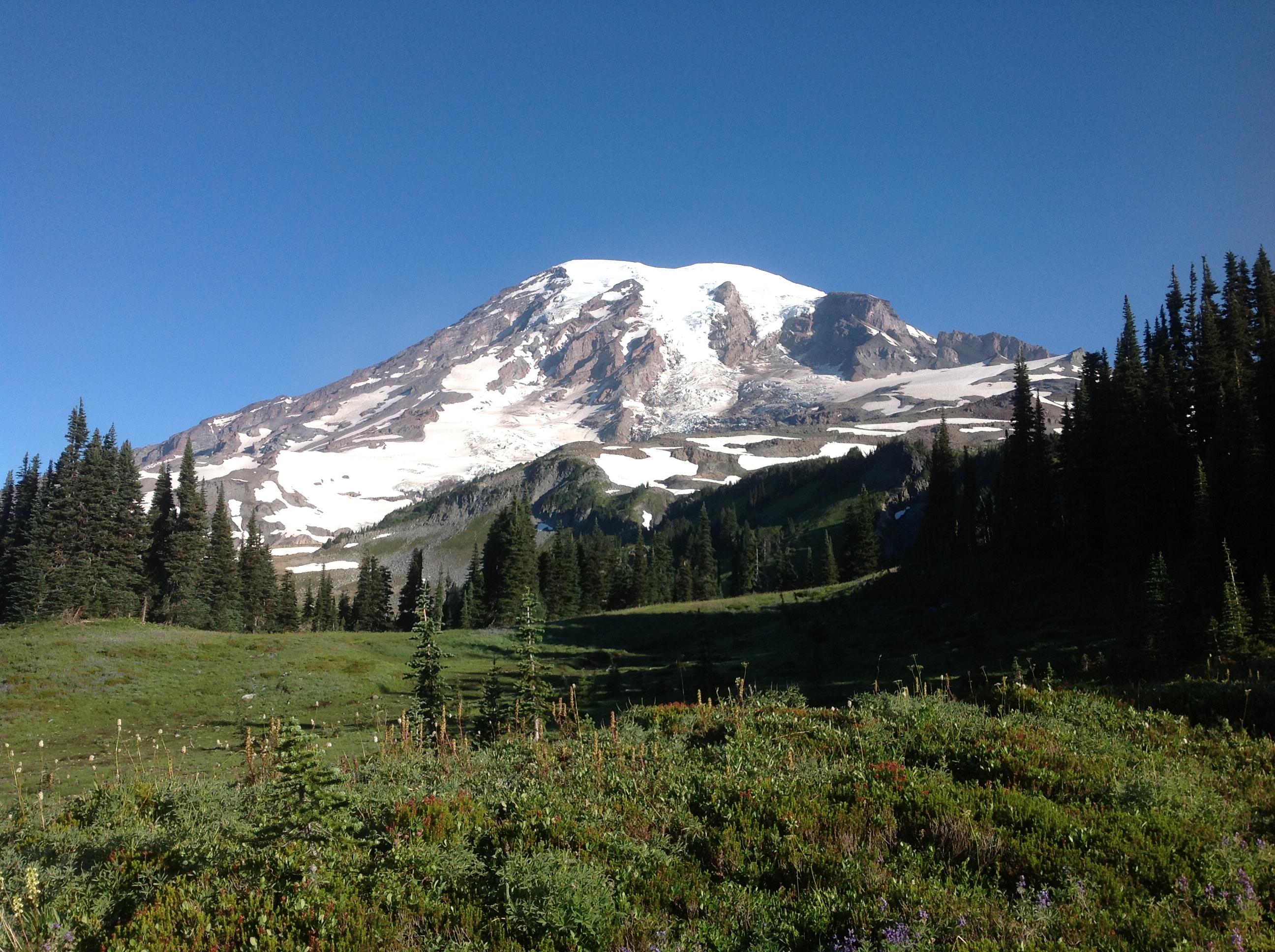 Mount Rainier in Summer